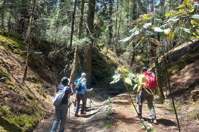 Excursion to La Cima de La Malinche from Mexico City - Authenticity and Reviews: What Others Are Saying