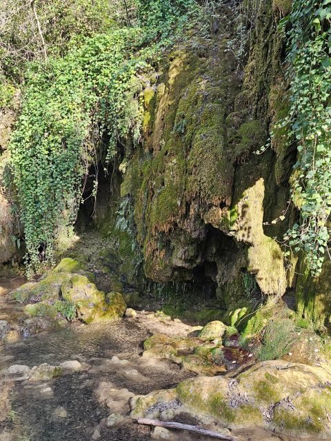 Excursion to Plitvice National Park - Key Points