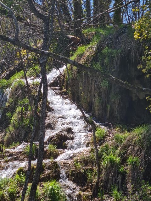 Excursion to Plitvice National Park - FAQs