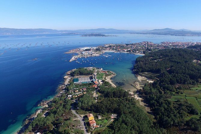 Excursion to Rias Baixas with Winery - Optional mussel boat - The Sum Up