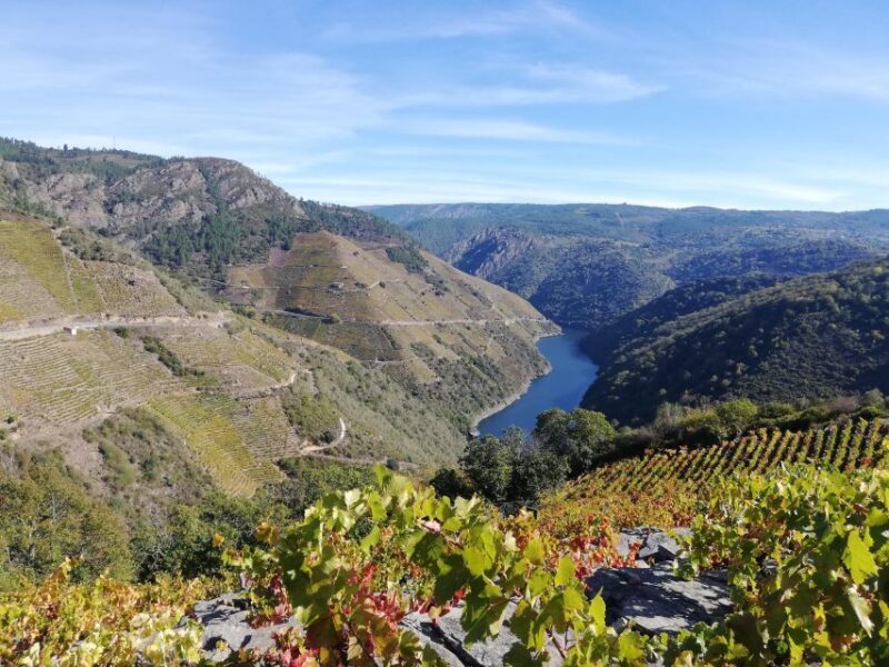 Excursion to Ribeira Sacra and Ourense - The Sum Up