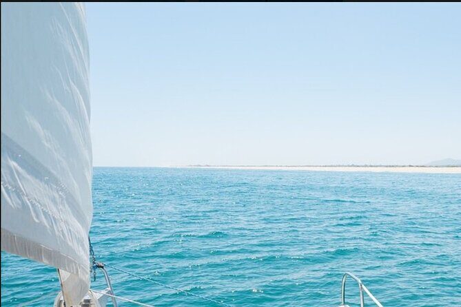 Excursion to Tavira - Final Thoughts: Is It Worth the Price?