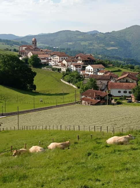 Excursion to the Baztan Valley, Zugarramurdi, and Señorío de Bertiz - An Inside Look at the Tour Experience