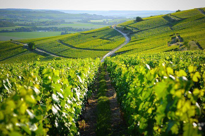 Excursion to the Champagne region and Wine Tasting - What Makes This Tour Stand Out for Travelers