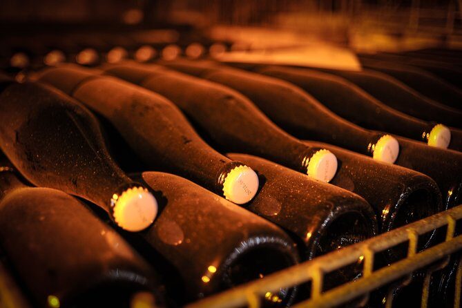 Excursion to the Champagne region and Wine Tasting - The Sum Up: Is It Worth It?