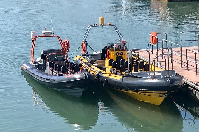 Exhilarating Rib experience - Dingle sea safari - Final Thoughts