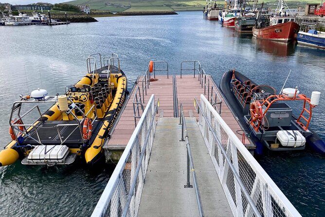Exhilarating Rib experience - Dingle sea safari - FAQs
