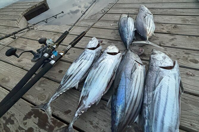 Exit fishing wholesale - Introduction to the Experience