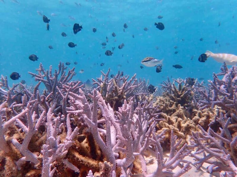 Exmouth: Full day Ningaloo in a Day tour - FAQ