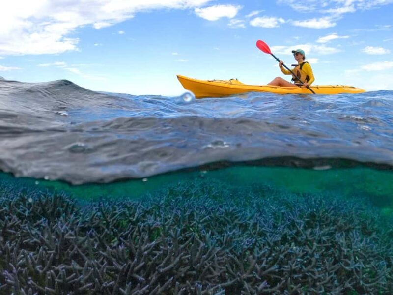 Exmouth: Half Day Coral by Kayak tour - Discovering Ningaloo Reef: A Water-Based Perspective
