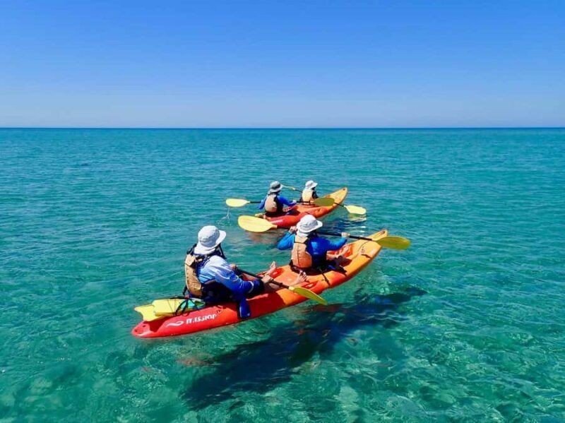 Exmouth: Half Day Turtle Kayak & Snorkel Tour - An Authentic Encounter with Ningaloo Reef’s Marine Life