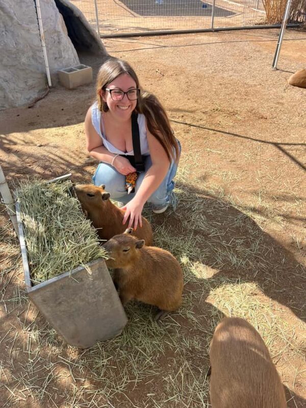 Exotic Animal Encounter Marana, AZ - 15 Friendly Capybara - An In-Depth Look at the Exotic Animal Encounter