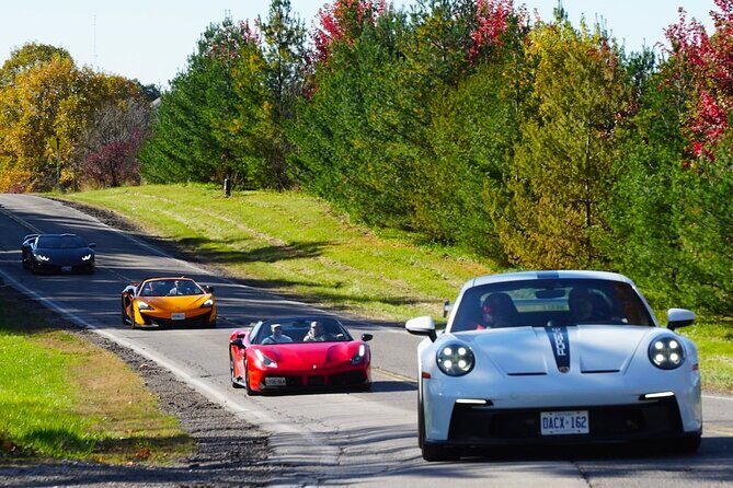 Exotic Car Driving Tours with Super Cars in Blue Mountain - Analyzing the Cost and Value