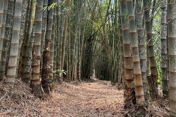 Exotic Garden EN Rancho Ecoturístico - Why This Tour is a Solid Choice