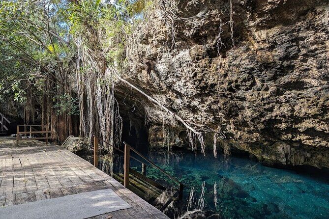 Exotik half a day tour: Cenote Cave and Swimming with Sea Turtles - Introduction: Why This Tour Might Be Just What You’re Looking For