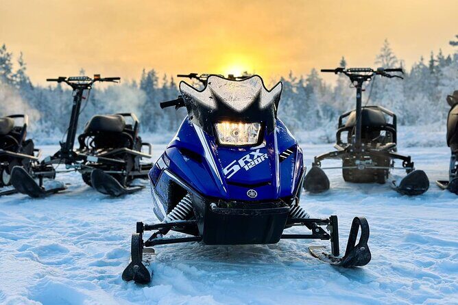 Expedition "INTO THE WILD" Safari and Lunch in Glass Igloo - Discovering Lapland’s Wilderness with Snowmobiles