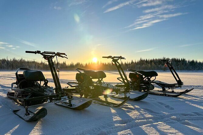 Expedition "INTO THE WILD" Safari and Lunch in Glass Igloo - Who is This Tour Best For?