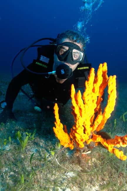 Experience 2 Tank Scuba Diving on Paros - Who Should Consider This Tour?