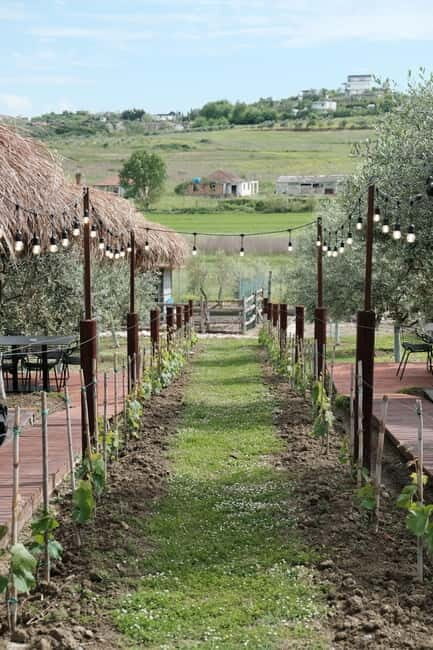 Experience Albanian Wine, daily tours from Durres - An In-Depth Look at the Experience
