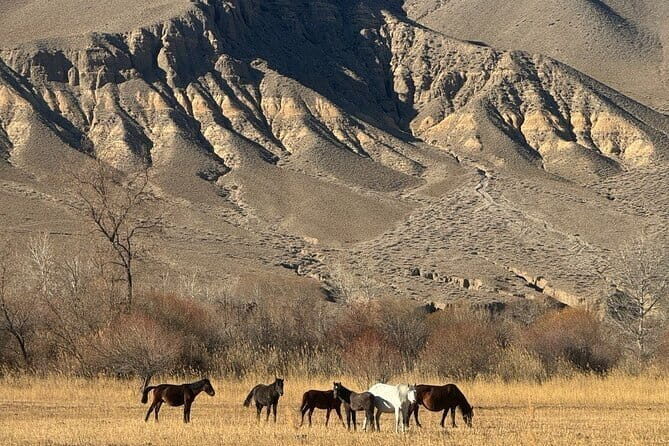 Experience Almaty, Medeu, shymbulak resort and Kok-tobe - FAQ