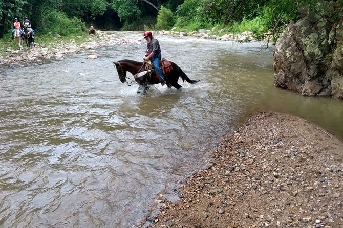 Experience ATV and Horse Back Riding - Key Points