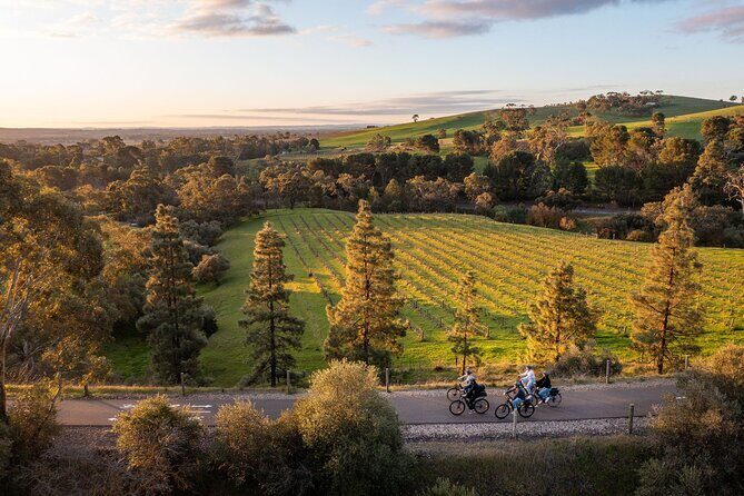 Experience Barossa Valley by E-bike - Summary: Is This Tour for You?