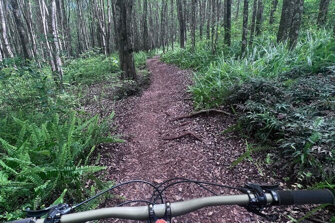 Experience Biking Adventure in Maui Mountain - What the Tour Offers