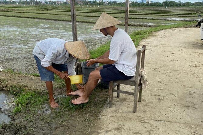 Experience Buffalo Ride and Farmer in Hoi An - An In-Depth Look at the Buffalo Ride and Farming Tour
