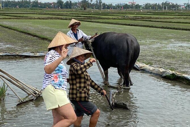 Experience Buffalo Ride and Farmer in Hoi An - FAQ