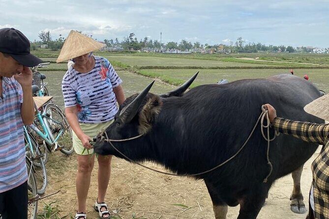 Experience Buffalo riding & farming w Local Farmer - FAQ