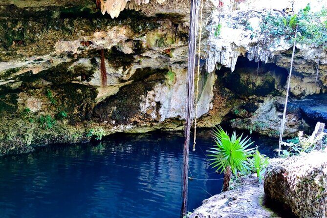 Experience Cancun's Hidden Gems, Mayan museum, cenote & Market 23 - The Sum Up