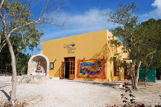 EXPERIENCE CHICHÉN ITZÁ at NIGHT, CENOTE, BUFFET & VALLADOLID - Who Will Love This Tour?