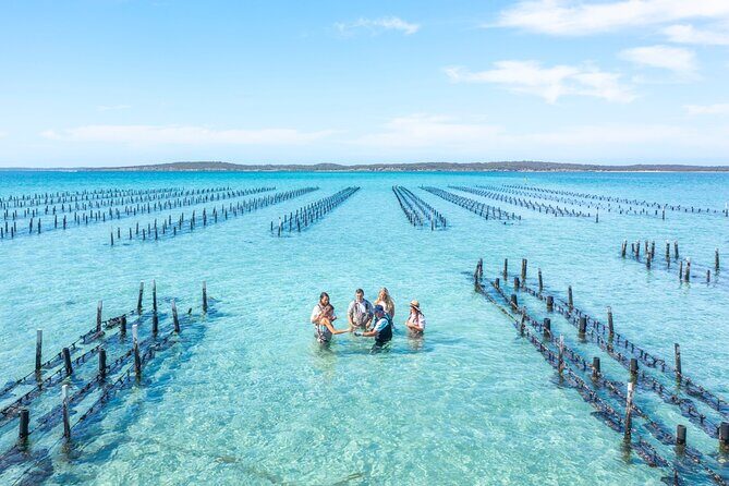Experience Coffin Bay Oyster Farm and Bay Tour - Why This Tour Stands Out
