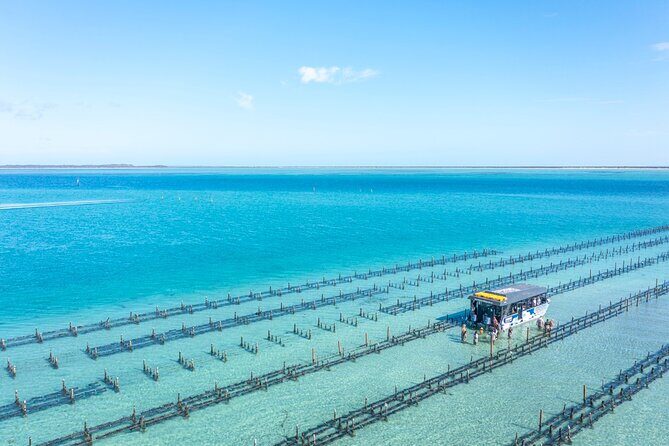 Experience Coffin Bay Oyster Farm and Bay Tour - The Practical Side: Logistics and Tips
