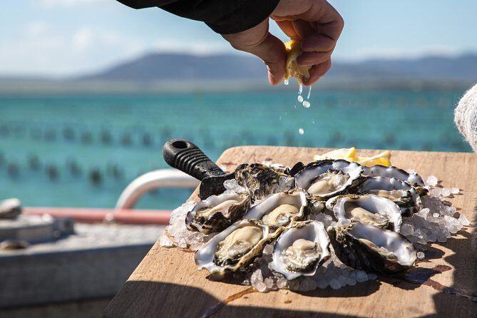 Experience Coffin Bay Oyster Farm and Bay Tour - Summary: Who Will Love This Tour?