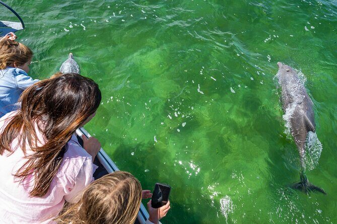 Experience Coffin Bay Short and Sweet Oyster Farm Tour - What Past Guests Say
