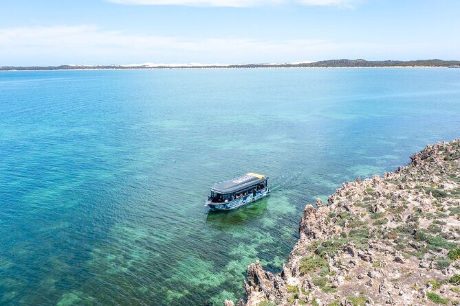 Experience Coffin Bay Short and Sweet Oyster Farm Tour - Practical Tips