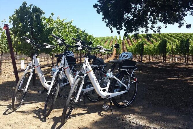 Experience E-Bike with Wine Tasting Activity - What Reviewers Say