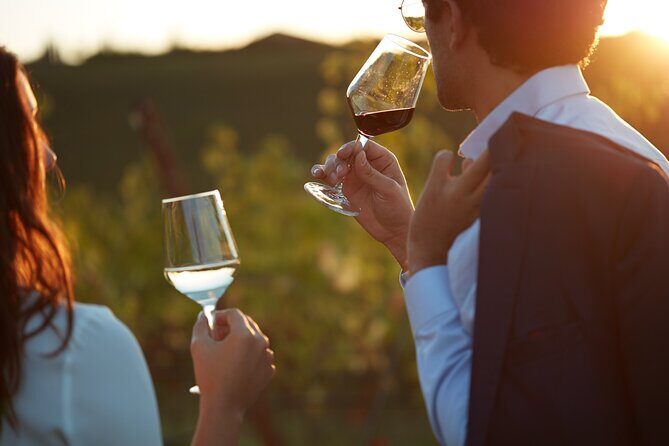 Experience Emilian Wines at Bologna Vineyard Vista - Key Points