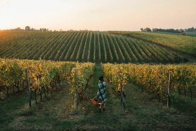 Experience Emilian Wines at Bologna Vineyard Vista - Final Thoughts