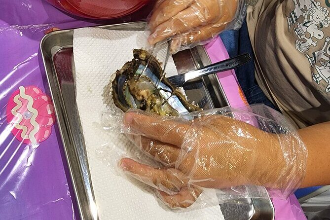 Experience Extracting Pearls From Akoya Oystersosaka - Key Points