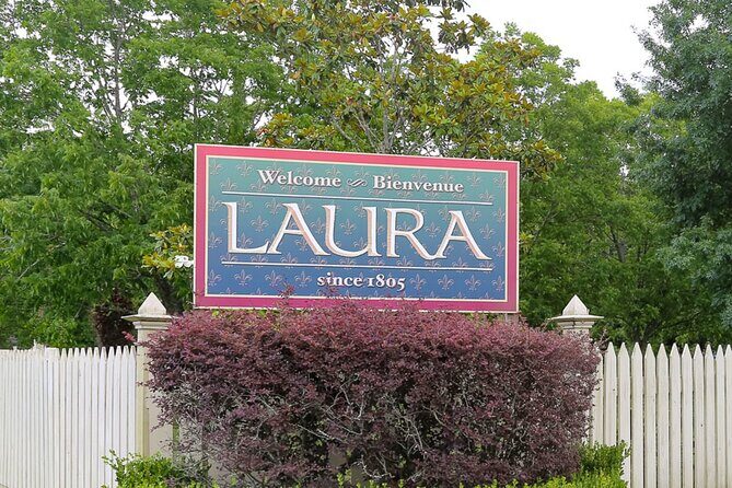 Experience Full-Day Laura Plantation & Pontoon Swamp Tour w/Transportation - Pontoon Swamp Tour: Close Encounters with Louisiana Wildlife