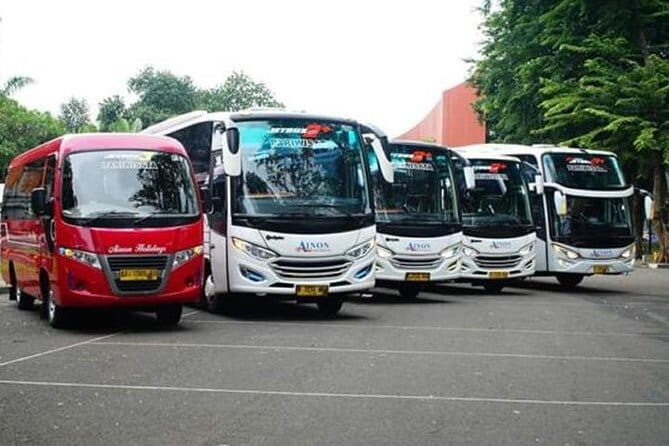 Experience Jakarta Street Food Scene with MRT Transportation - Who Is This Tour Perfect For?