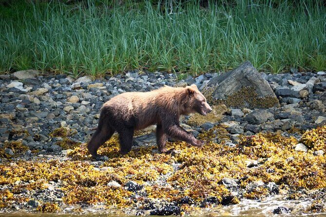 Experience Local Marine Wildlife Tour - Important Practicalities