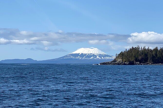 Experience Local Marine Wildlife Tour - Who Will Love This Tour?