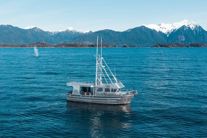 Experience Local Marine Wildlife Tour - Final Thoughts