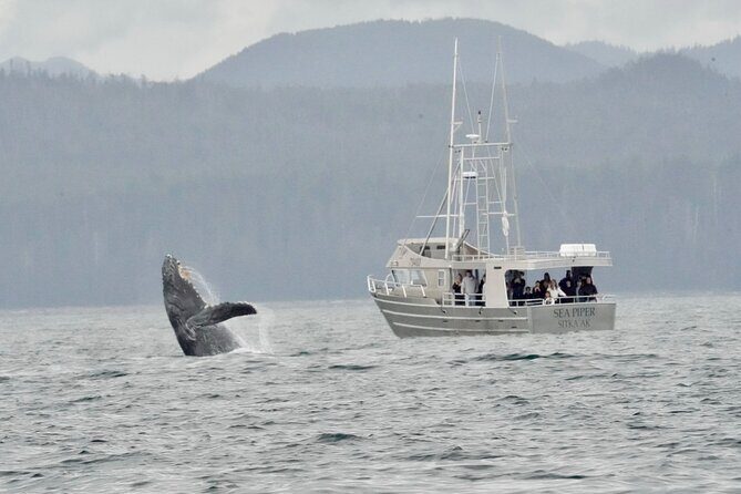 Experience Local Marine Wildlife Tour - FAQ