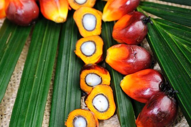 Experience Malaysia: Authentic Malaysia Cooking Tour - Starting at the Tropical Spice Garden: A Feast for the Senses