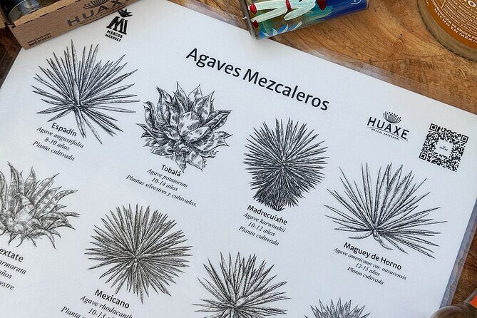 Experience mezcal science tasting and lecture Oaxaca - What to Expect on the Tour