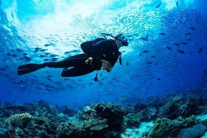 Experience Nha Trang Scuba Diving with Certified Dive - Key Points